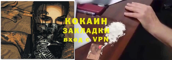 сатива Алзамай