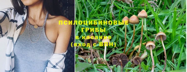 сатива Алзамай