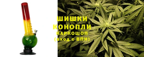 сатива Алзамай