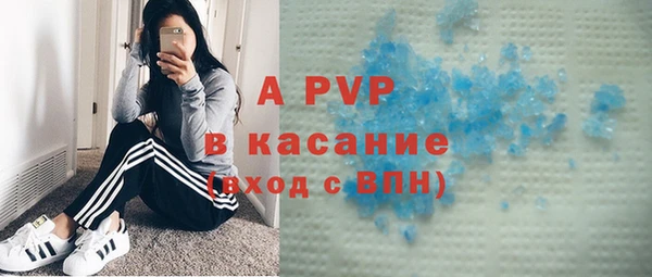 сатива Алзамай
