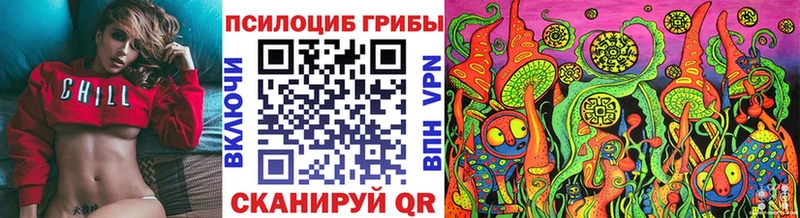 кракен как войти  Котельники  Псилоцибиновые грибы Psilocybine cubensis 